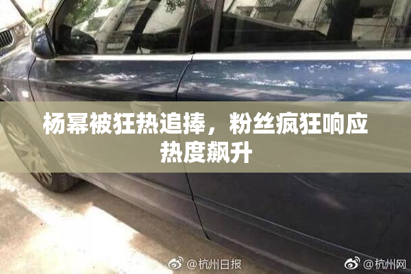 杨幂被狂热追捧，粉丝疯狂响应热度飙升