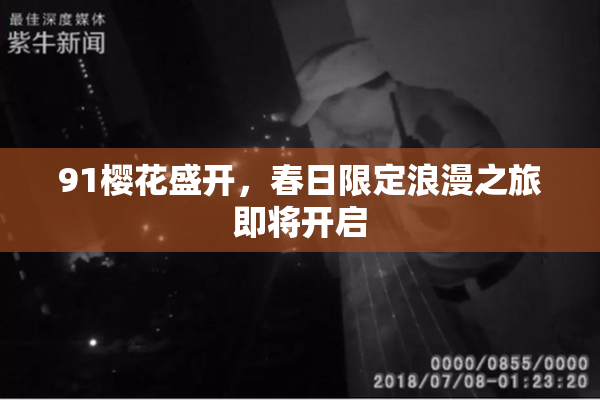 91樱花盛开，春日限定浪漫之旅即将开启