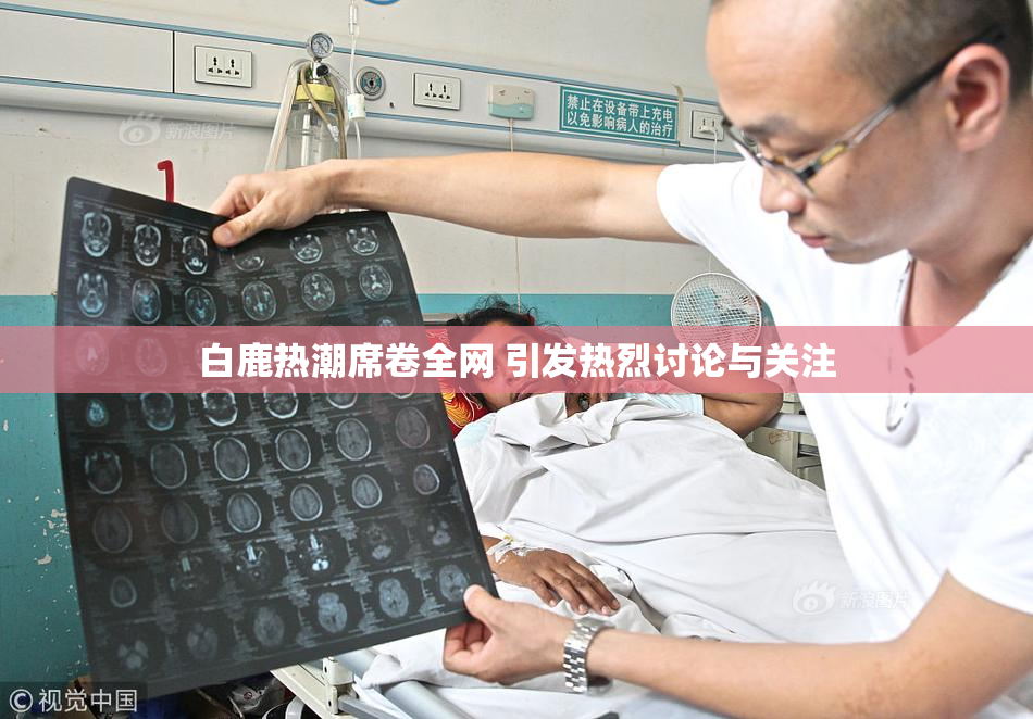 白鹿热潮席卷全网 引发热烈讨论与关注