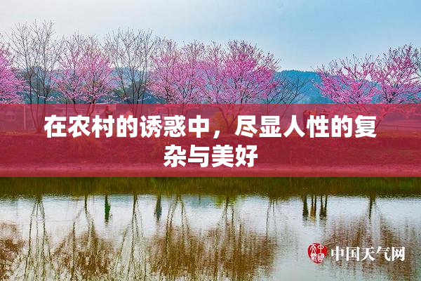 在农村的诱惑中，尽显人性的复杂与美好