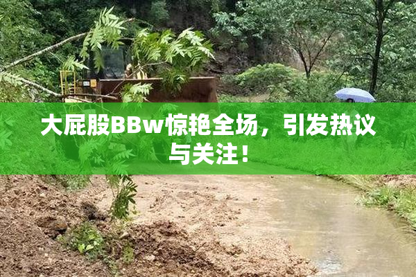 大屁股BBw惊艳全场，引发热议与关注！