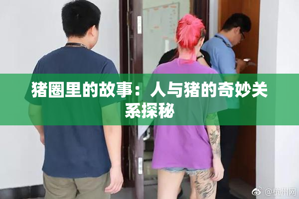 猪圈里的故事：人与猪的奇妙关系探秘