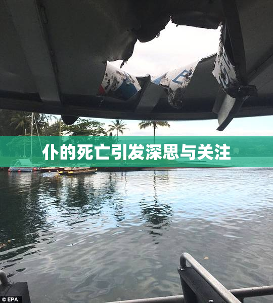 仆的死亡引发深思与关注