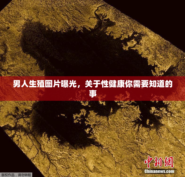 男人生殖图片曝光，关于性健康你需要知道的事
