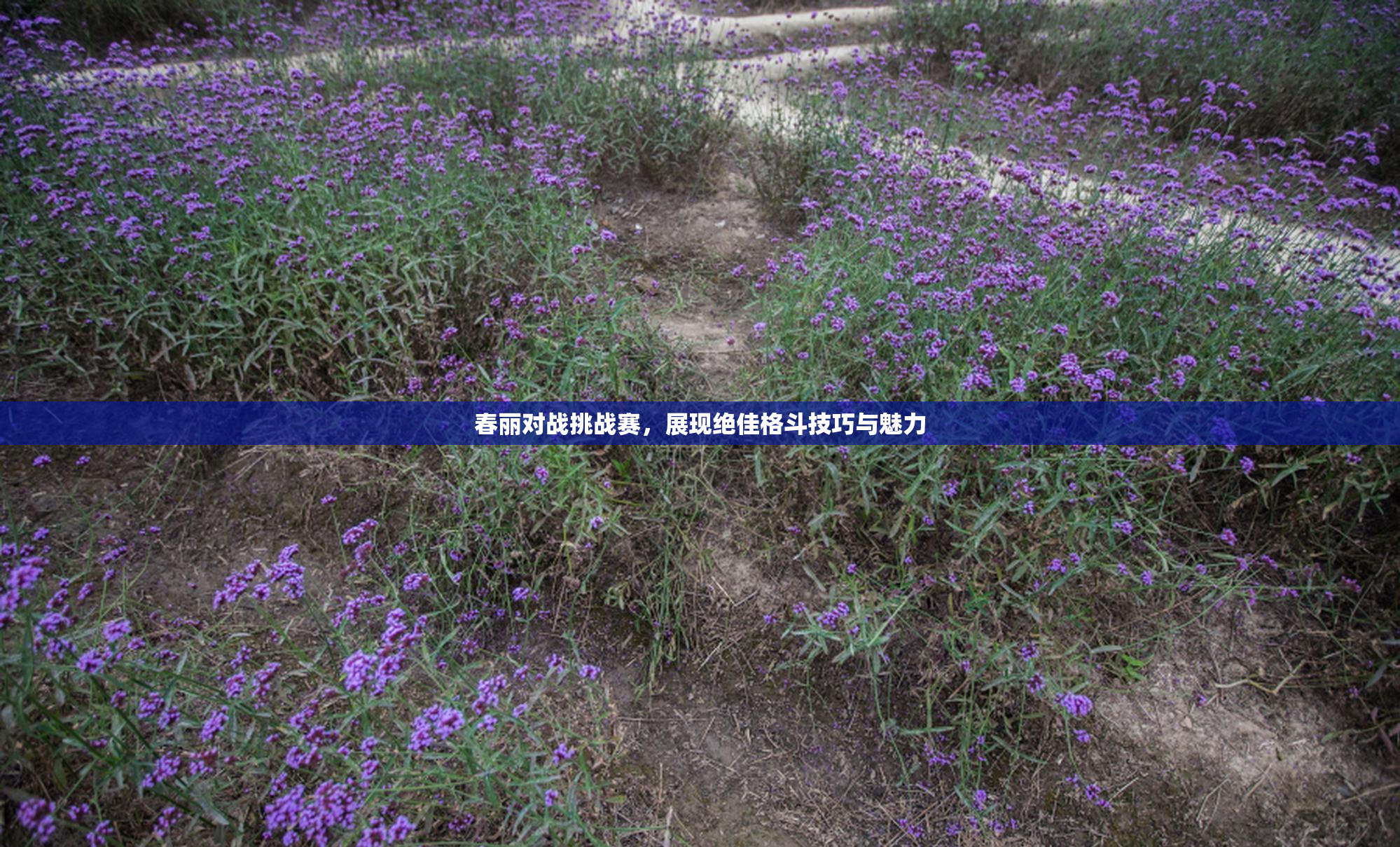 春丽对战挑战赛，展现绝佳格斗技巧与魅力