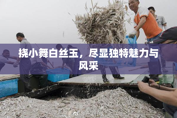 挠小舞白丝玉，尽显独特魅力与风采