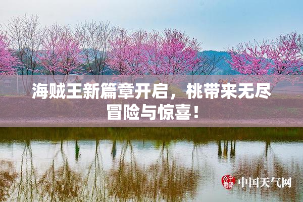 海贼王新篇章开启，桃带来无尽冒险与惊喜！