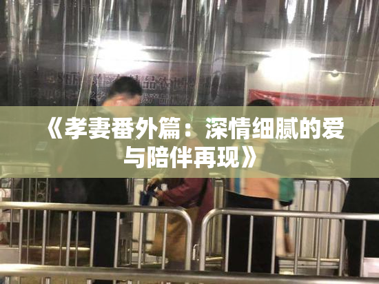 《孝妻番外篇：深情细腻的爱与陪伴再现》