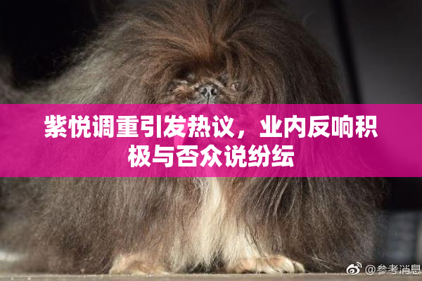 紫悦调重引发热议，业内反响积极与否众说纷纭