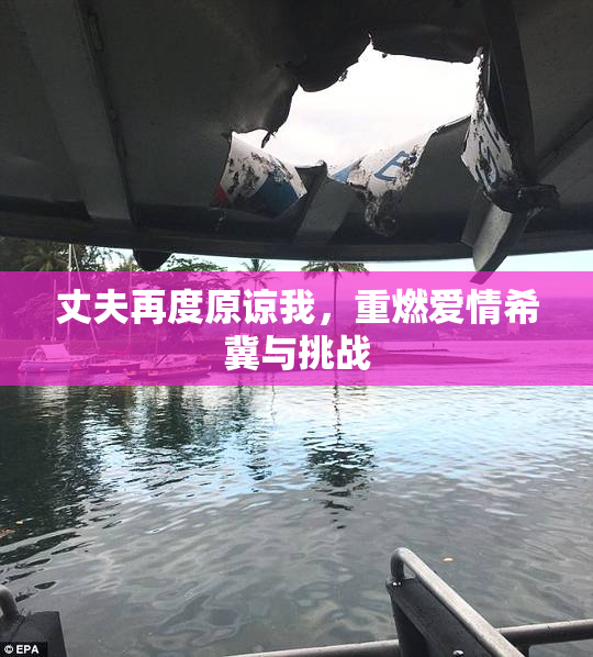 丈夫再度原谅我，重燃爱情希冀与挑战