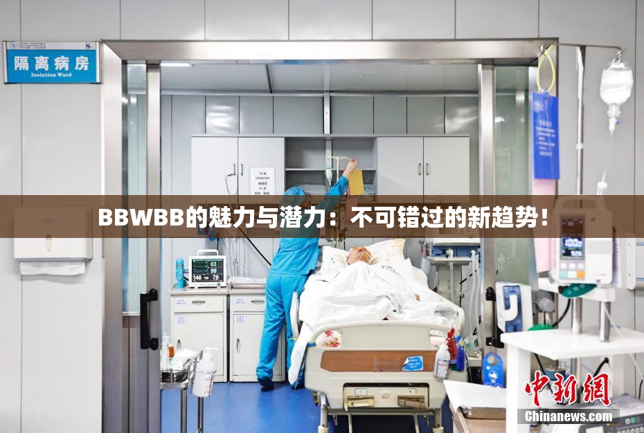 BBWBB的魅力与潜力：不可错过的新趋势！