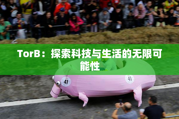 TorB：探索科技与生活的无限可能性