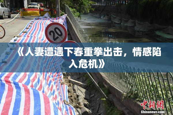 《人妻遭遇下春重拳出击，情感陷入危机》