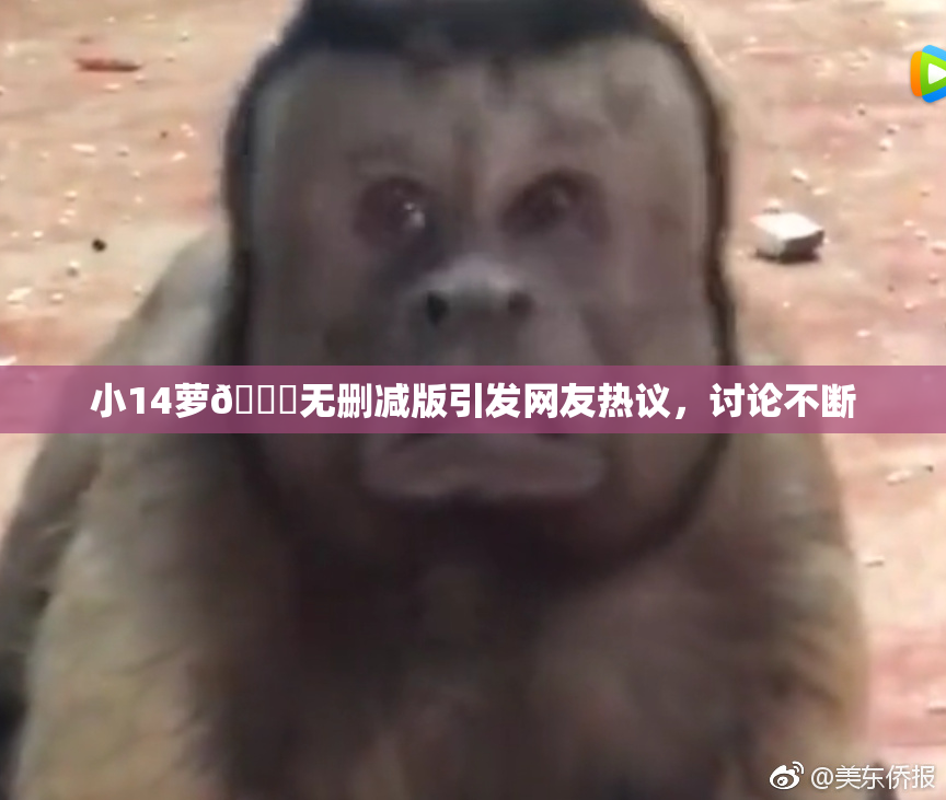 小14萝🔞无删减版引发网友热议，讨论不断