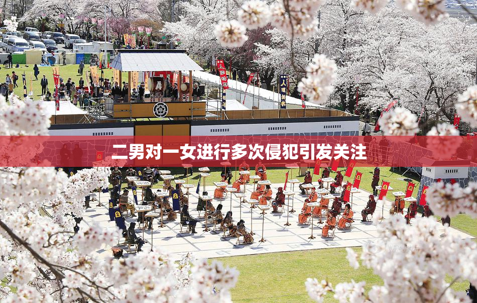 二男对一女进行多次侵犯引发关注