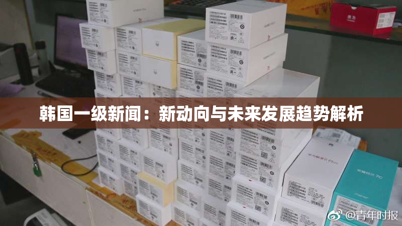 韩国一级新闻：新动向与未来发展趋势解析