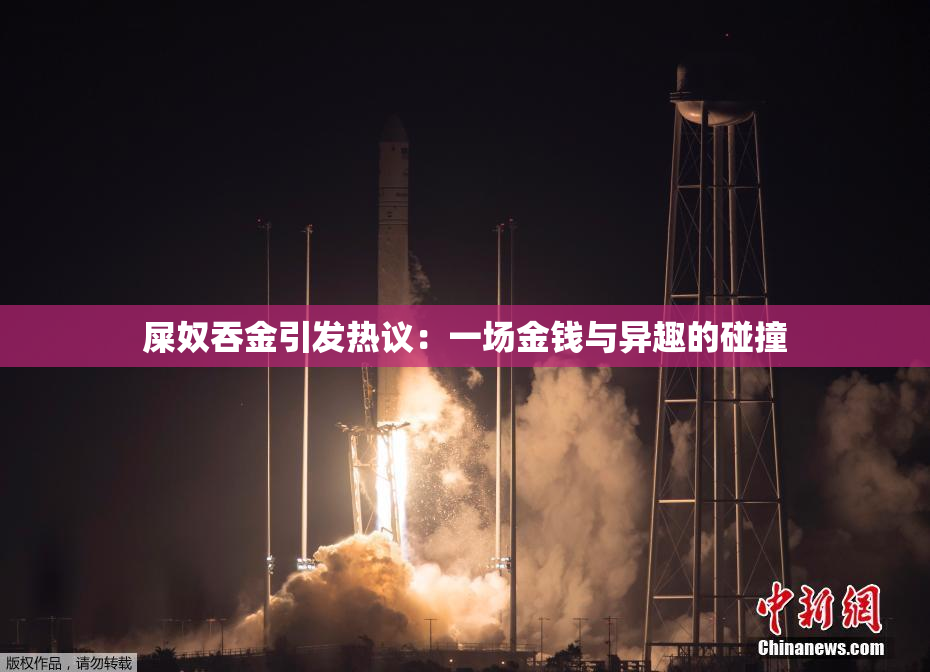 屎奴吞金引发热议：一场金钱与异趣的碰撞