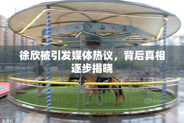 徐欣被引发媒体热议，背后真相逐步揭晓