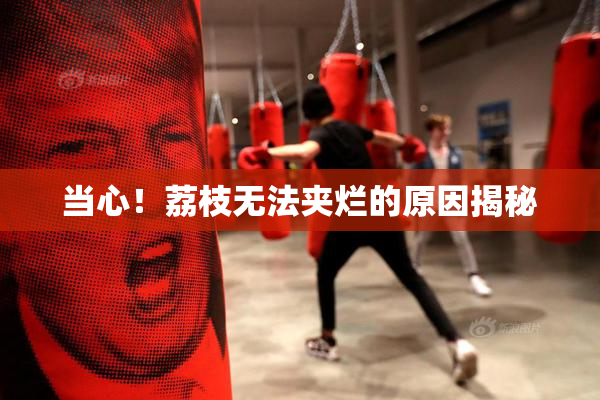 当心！荔枝无法夹烂的原因揭秘