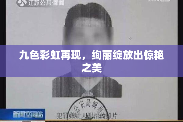 九色彩虹再现，绚丽绽放出惊艳之美