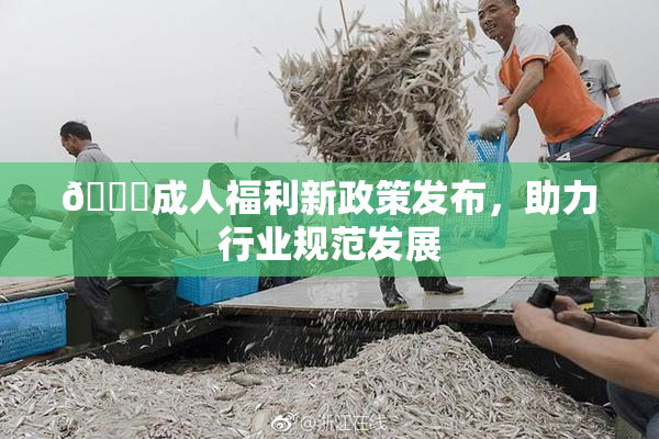 🔞成人福利新政策发布，助力行业规范发展