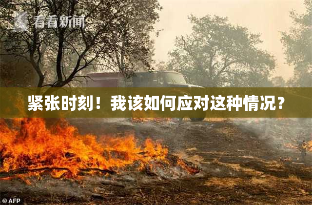 紧张时刻！我该如何应对这种情况？