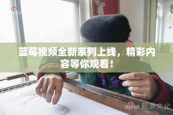 蓝莓视频全新系列上线，精彩内容等你观看！