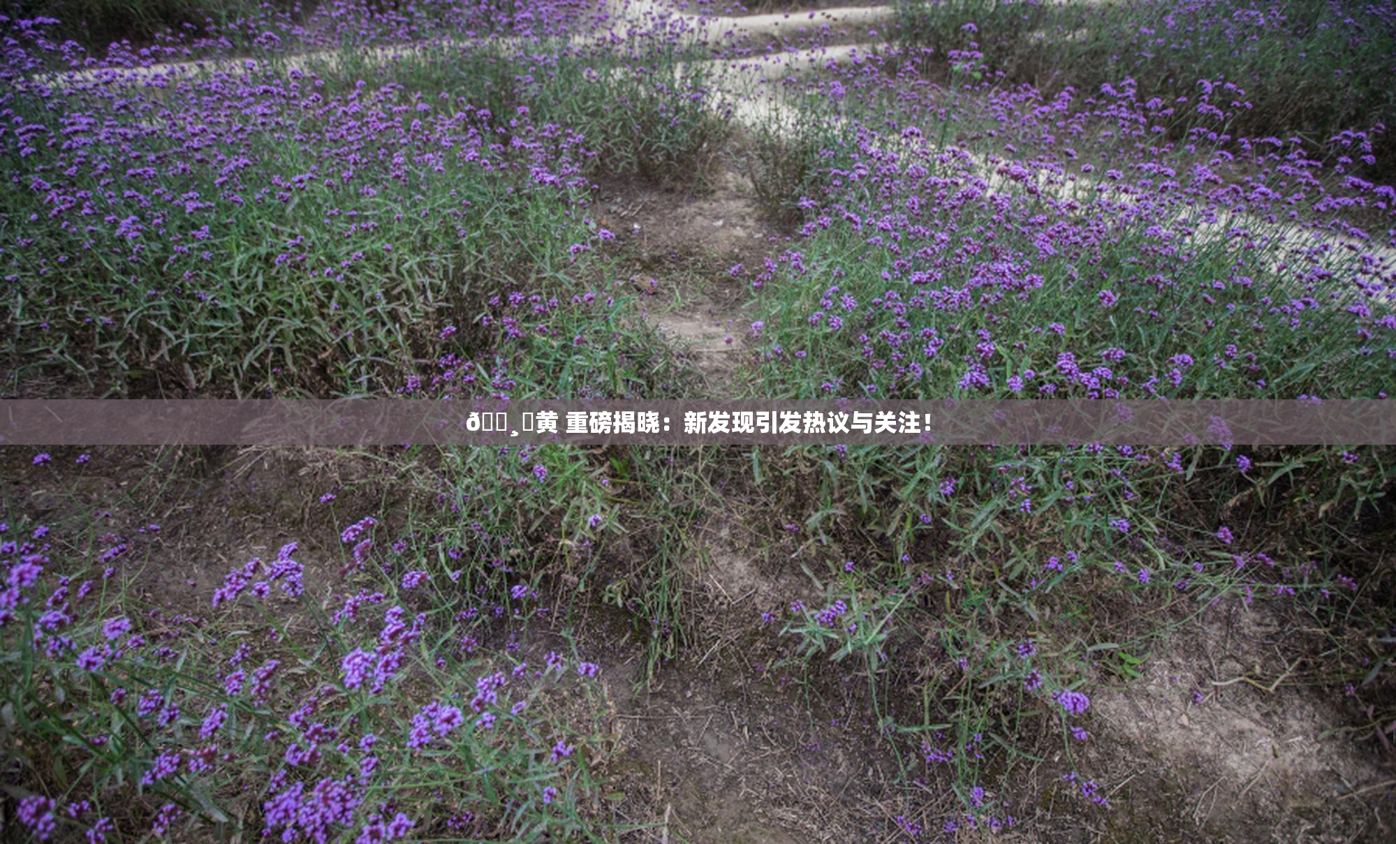 🌸‌黄 重磅揭晓：新发现引发热议与关注！