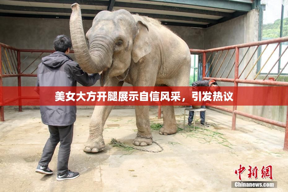 美女大方开腿展示自信风采，引发热议