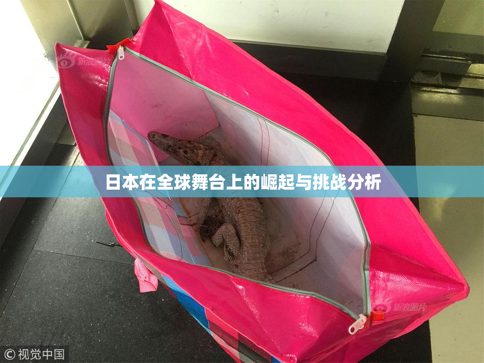 日本在全球舞台上的崛起与挑战分析