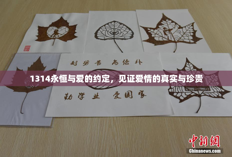1314永恒与爱的约定，见证爱情的真实与珍贵