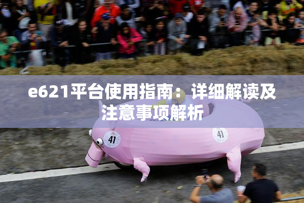 e621平台使用指南：详细解读及注意事项解析