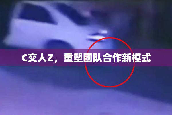 C交人Z，重塑团队合作新模式