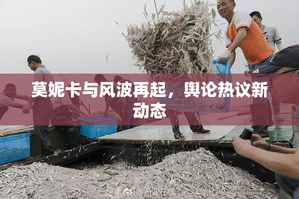 莫妮卡与风波再起，舆论热议新动态
