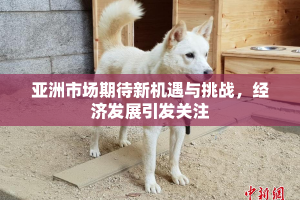 亚洲市场期待新机遇与挑战，经济发展引发关注