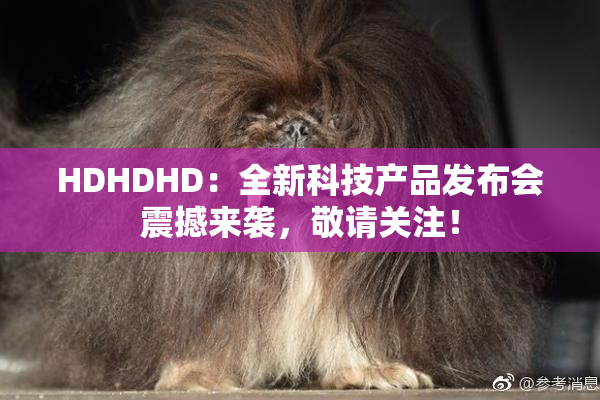 HDHDHD：全新科技产品发布会震撼来袭，敬请关注！