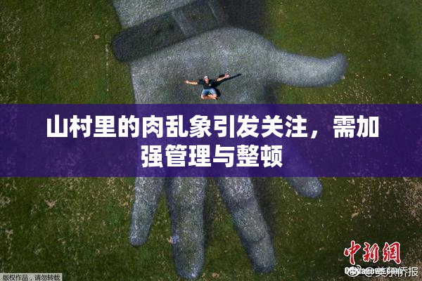 山村里的肉乱象引发关注，需加强管理与整顿