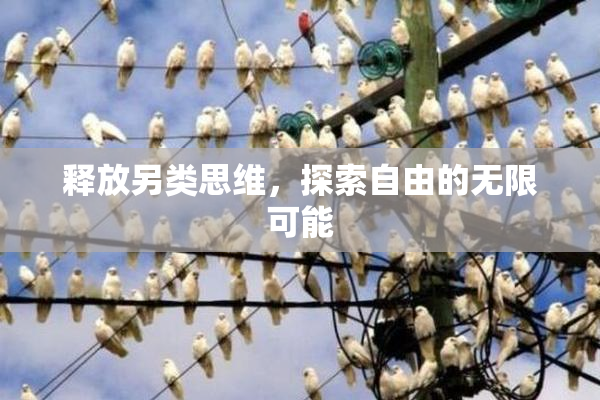 释放另类思维，探索自由的无限可能