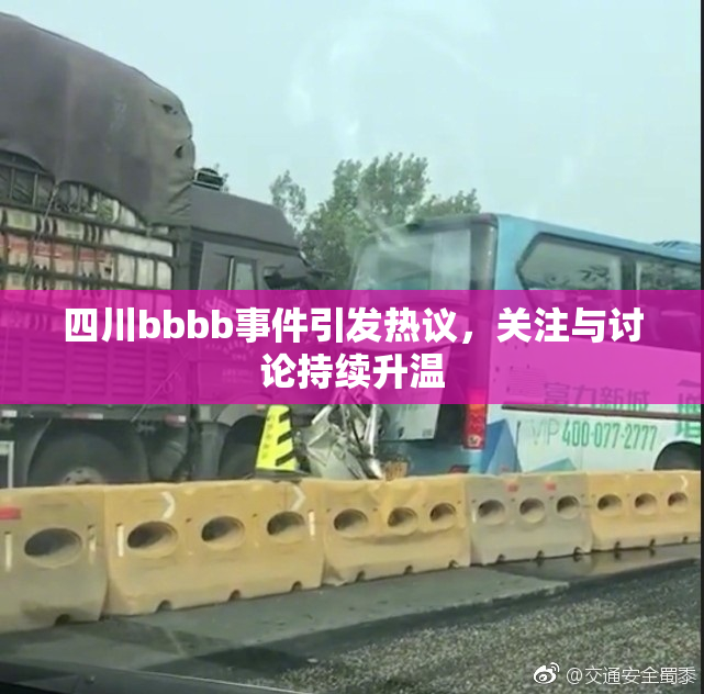 四川bbbb事件引发热议，关注与讨论持续升温