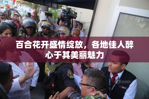 百合花开盛情绽放，各地佳人醉心于其美丽魅力