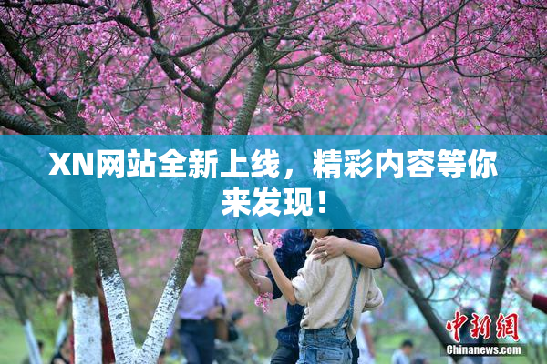 XN网站全新上线，精彩内容等你来发现！
