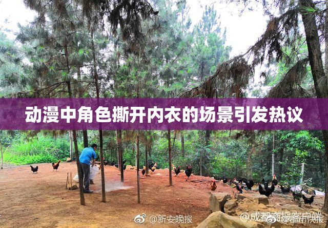 动漫中角色撕开内衣的场景引发热议
