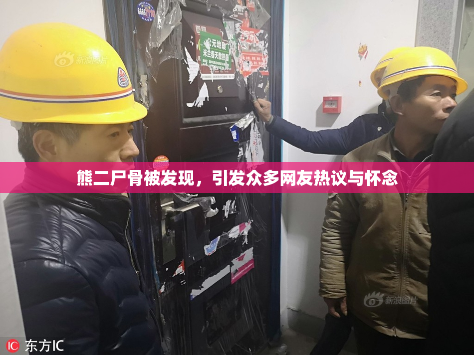 熊二尸骨被发现，引发众多网友热议与怀念
