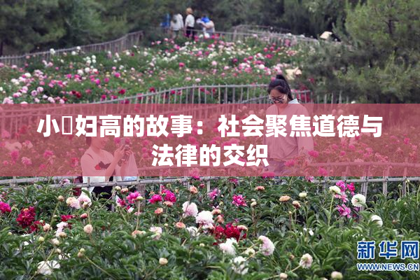 小婬妇高的故事：社会聚焦道德与法律的交织