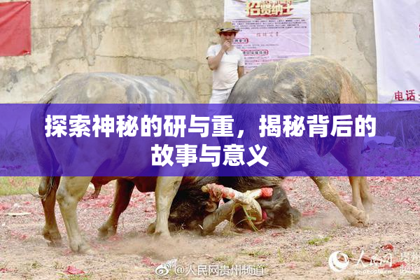 探索神秘的研与重，揭秘背后的故事与意义