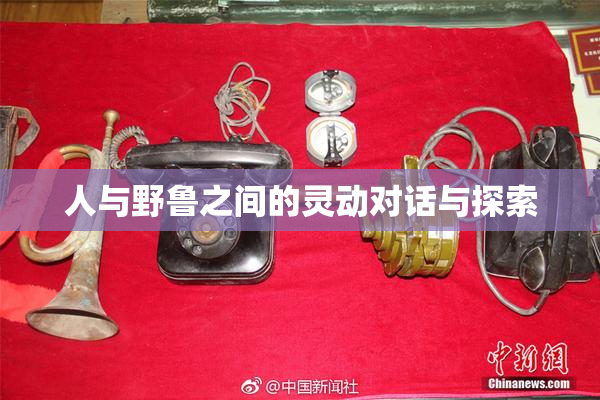 人与野鲁之间的灵动对话与探索