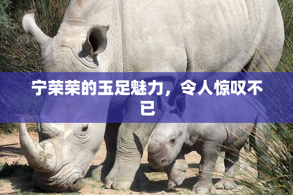 宁荣荣的玉足魅力，令人惊叹不已