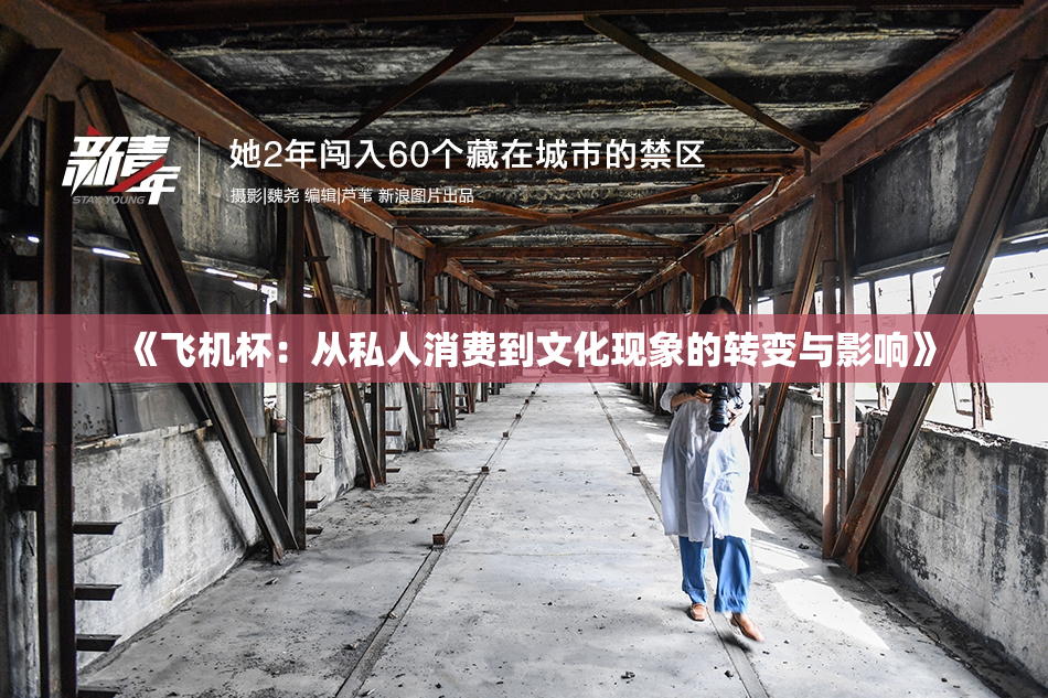 《飞机杯：从私人消费到文化现象的转变与影响》