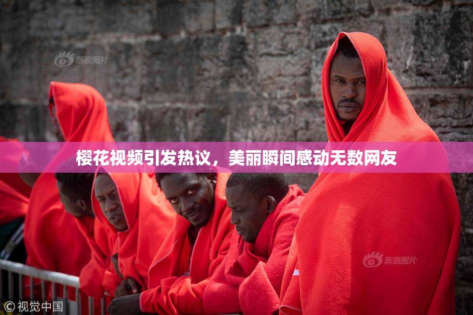 樱花视频引发热议，美丽瞬间感动无数网友