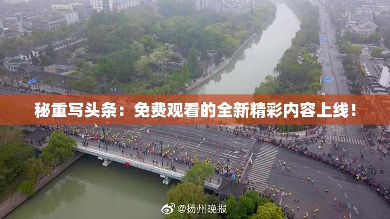 秘重写头条：免费观看的全新精彩内容上线！